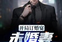 开局订婚宴,未婚妻弃我而去江城,开局订婚宴,未婚妻弃我而去最新章节-够力荐小说推荐网
