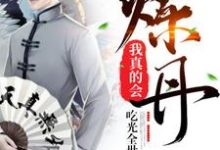 我真的会炼丹小说无弹窗阅读的网站推荐-够力荐小说推荐网