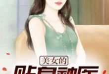 刘灿王梓莹小说在线章节免费阅读(美女的贴身神医无弹窗无删减)-够力荐小说推荐网