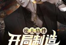逆天悟性,开局制造可控核聚变这本小说完结了吗?免费查看最新章节-够力荐小说推荐网