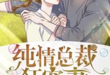 苗一夕狄高阳小说叫什么(纯情总裁狂宠妻免费阅读)-够力荐小说推荐网