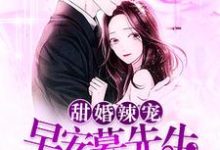 小说《甜婚辣宠:早安,慕先生》章节免费阅读-够力荐小说推荐网