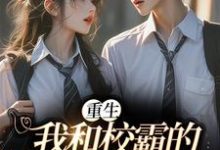 哪里能找到重生:我和校霸的甜甜恋爱小说的全部章节?-够力荐小说推荐网