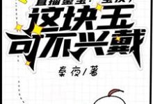 直播鉴宝:宝友,这块玉可不兴戴这本小说在哪里可以看?哪里有免费试读章节?-够力荐小说推荐网