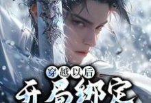 《穿越以后,开局绑定反派系统》全集免费在线阅读(秦洛)-够力荐小说推荐网