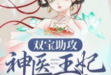 双宝助攻：神医王妃太难追免费阅读，双宝助攻：神医王妃太难追章节目录-够力荐小说推荐网