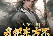 宁辰小说《人在江湖:我把东方不败打趴下了》在线阅读-够力荐小说推荐网