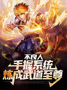 求不良人：手握系统，炼成武道至尊小说免费资源