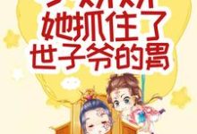 超甜!小娇娇她抓住了世子爷的胃小说全文阅读需要付费吗?寻找免费资源-够力荐小说推荐网