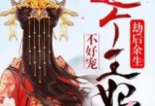 劫后余生:这个王妃不好宠小说,劫后余生:这个王妃不好宠免费阅读-够力荐小说推荐网