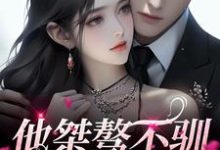 《他桀骜不驯,却十分好撩》全集免费在线阅读(温荧陈烬)-够力荐小说推荐网