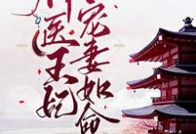 已完结小说《神医王妃:皇叔宠妻如命》在线章节阅读-够力荐小说推荐网
