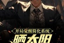 开局觉醒简化系统,晒太阳就能变强这本小说怎么样?免费在线阅读试试-够力荐小说推荐网