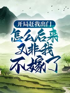 完结版《开局赶我出门，怎么后来又非我不嫁了？》章节阅读