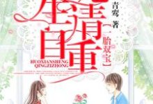 哪里可以免费找到一胎双宝，霍先生请自重？-够力荐小说推荐网