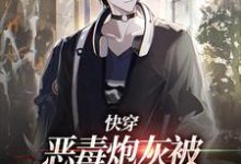小说《快穿：恶毒炮灰被疯批们强制爱了》章节阅读-够力荐小说推荐网