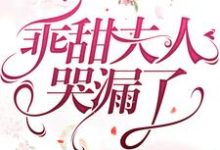 乖甜夫人哭漏了这本小说怎么样?免费在线阅读试试-够力荐小说推荐网