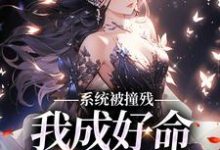 系统被撞残,我成好命小女娘小说无弹窗阅读的网站推荐-够力荐小说推荐网