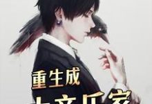 寻找能够免费阅读重生成大音乐家小说的平台-够力荐小说推荐网