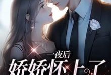 陆北川秦思雅小说《陆总,你老婆带着孩子跑了》在线阅读-够力荐小说推荐网