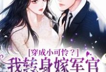 哪里可以免费找到穿成小可怜?我转身嫁军官好孕连连?-够力荐小说推荐网