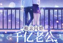 相亲闪婚：千亿老公天天藏马甲章节免费在线阅读，秦暖陆臻完结版-够力荐小说推荐网