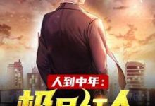 已完结小说《人到中年:极品红人》章节在线阅读-够力荐小说推荐网