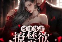 孟洛柠靳沉寒小说在线章节免费阅读(暧昧苏甜:撩禁欲太子爷入怀无弹窗无删减)-够力荐小说推荐网