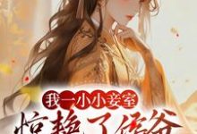 叶青芷谢晋小说我一小小妾室,惊艳了侯爷很合理吧在线阅读章节-够力荐小说推荐网