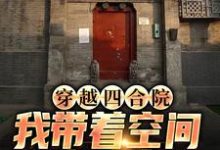 何雨柱于莉小说在线章节免费阅读(穿越四合院,我带着空间来致富无弹窗无删减)-够力荐小说推荐网
