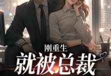 刚重生,就被总裁狂宠上天了陆霆司夏沫小说在线章节免费阅读-够力荐小说推荐网