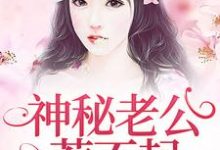 神秘老公惹不起小说的所有章节都能在哪里免费读到?-够力荐小说推荐网