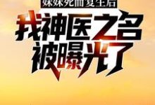 《妹妹死而复生后,我神医之名被曝光了》全集免费在线阅读(林漠许半夏)-够力荐小说推荐网