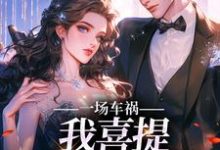 陈芸赵乾志小说完结版在线阅读，一场车祸，我喜提妻女一双？免费看-够力荐小说推荐网