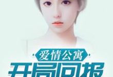 爱情公寓：开局回报诸葛大力方迪诸葛大力小说免费阅读-够力荐小说推荐网