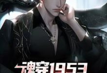 魂穿1953:我在岛国当渔民小说的无弹窗阅读体验,寻找免费阅读网站-够力荐小说推荐网