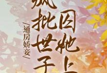 通房娇妾,疯批世子囚她上瘾小说,通房娇妾,疯批世子囚她上瘾苏婳靳珩-够力荐小说推荐网