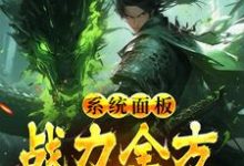 系统面板：战力全方位拉满小说完结版章节免费阅读-够力荐小说推荐网