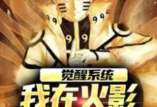 觉醒系统，我在火影世界赢麻了免费阅读，觉醒系统，我在火影世界赢麻了章节目录-够力荐小说推荐网
