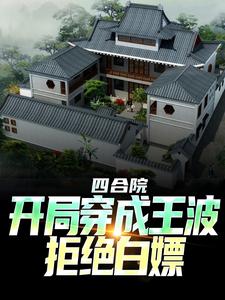 王波小说完结版在线阅读，四合院：开局穿成王波，拒绝白嫖免费看