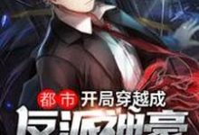 免费在线阅读都市:开局穿越成反派神豪小说的正规网站有哪些?-够力荐小说推荐网