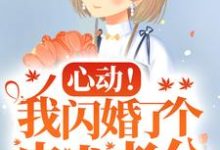 心动！我闪婚了个忠犬老公小说有没有完整的免费版本在线阅读？-够力荐小说推荐网