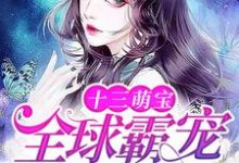 小说《十三萌宝：全球霸宠权太太》章节免费阅读-够力荐小说推荐网