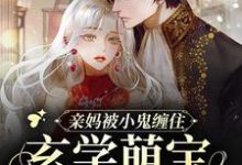 亲妈被小鬼缠住,玄学萌宝在线画符这本小说完结了吗?免费查看最新章节-够力荐小说推荐网