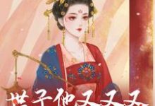 世子他又又又欺负探花郎了！小说的免费阅读版本在哪里可以找到？-够力荐小说推荐网