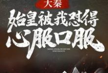 大秦:始皇被我怼得心服口服(冯征秦始皇嬴政)在线免费阅读-够力荐小说推荐网