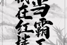 《我在红楼当霸王》小说章节列表免费试读，贾环薛宝钗小说在线阅读-够力荐小说推荐网