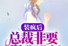已完结小说《装疯后，总裁非要娶我进门》在线章节阅读-够力荐小说推荐网