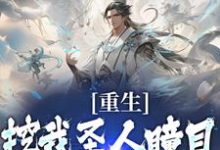 在线寻找重生:挖我圣人瞳目,夫人你挺牛啊小说的无删减版本-够力荐小说推荐网
