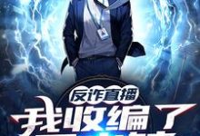 王胜小说反诈直播:我收编了呆小妹章节免费阅读-够力荐小说推荐网
